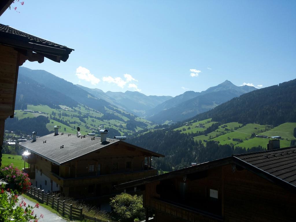 Alpbach 646 Apartment Bilik gambar